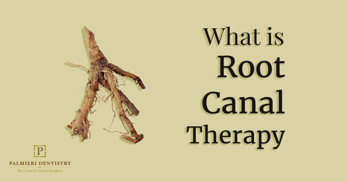 Palmieri_Blog-November-23